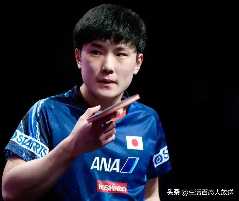 包含德国乒乓球队完胜法国乒乓球队，张本智和统治全场的词条